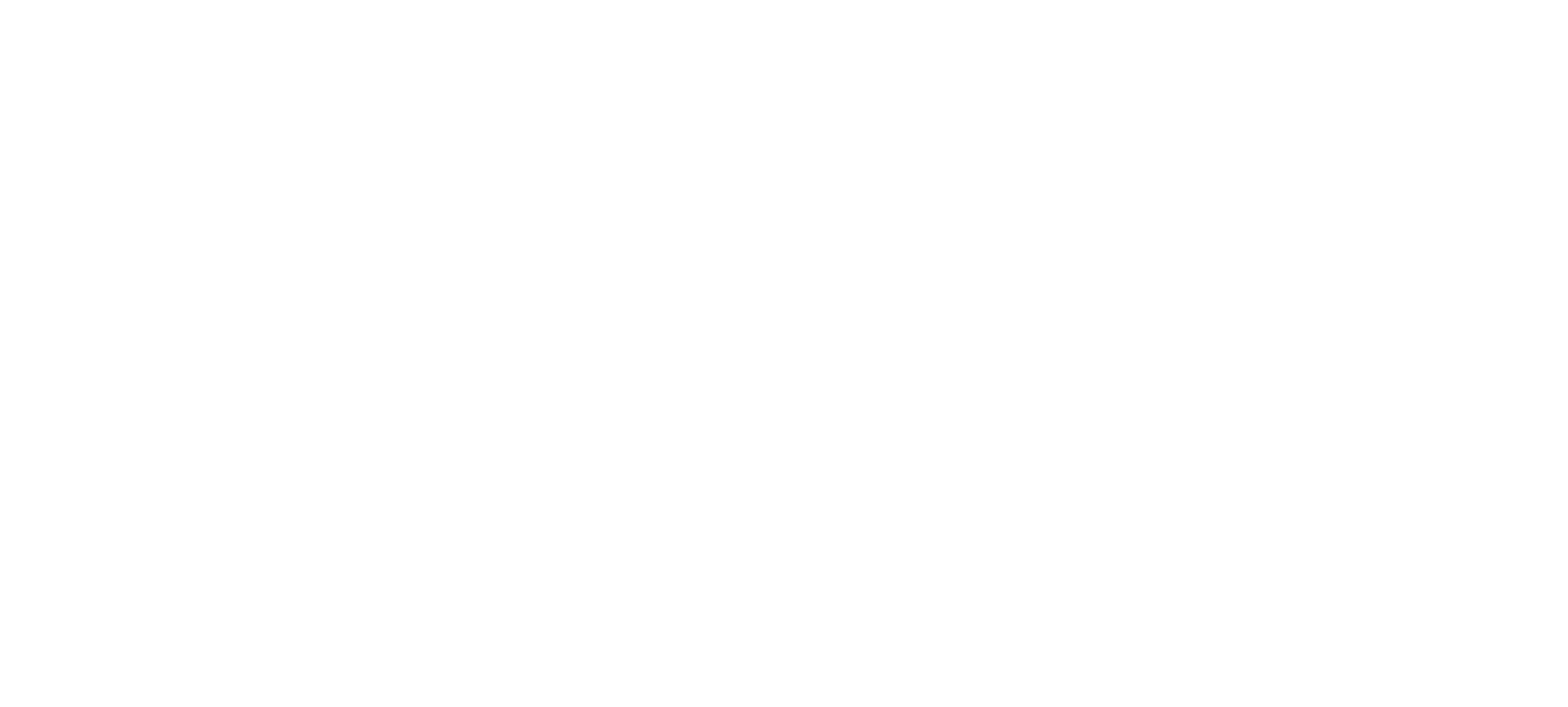 Saikin_Team_Logo_white.png